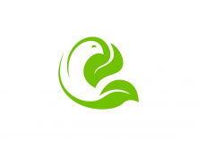 Logotipo de pájaro de hoja