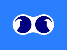 Logotipo de visión de ojo de pájaro