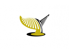 Logotipo moderno de cola de ballena