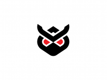 Owl Ninja Logo