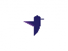 Pixel Hummingbird