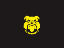 Bulldog Geometric Logo