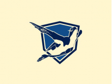 Logotipo de escudo de tortuga voladora