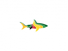 Logotipo de tiburón moderno