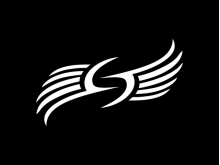 S Letter Wing Logo