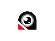 Logotipo de cabeza de paloma