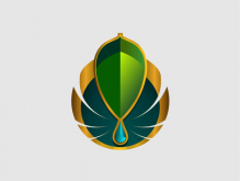 Life Leaf Logo