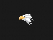 Low Poly Eagle Head