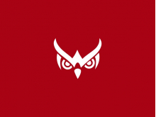 Letter W Simple Owl Logo