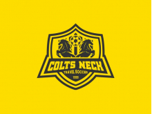 Soccer Horse Emblem Logo