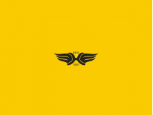 Flying H Logo