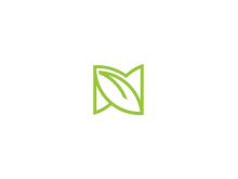 Letter N Leaf Logo