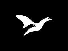 Logotipo de pareja de cisnes
