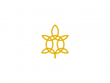 Logotipo de tortuga y flor