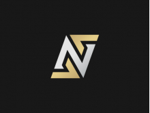 Silver Gold Letter Ng Nf Logo