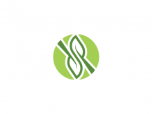 Logotipo de hoja de letra S
