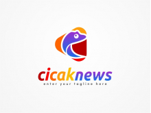 Logo Cicak