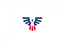 Logotipo de pájaro y rayo de luz
