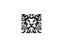 Lion Face Barcodes