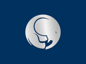 Logotipo único De Elefante