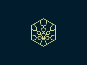 Logo Hexagon Peacock Monoline