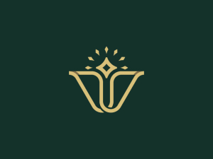 Logo Étoile Lettre V Élégant