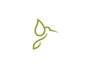 Stylized Green Hummingbird Logo