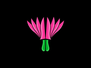 Fleurs De Lotus Et Couteaux