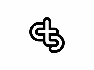 Letter Ts Logo