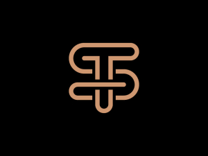 Logotipo Elegante De St Ts