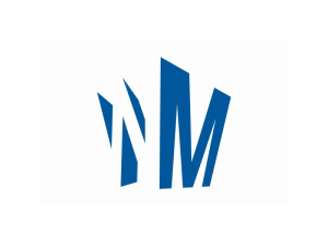 Wm Crown Letter Logo