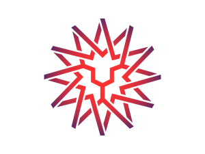 Logo Étoile De Lion