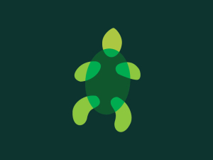 Grünes Schildkröten-Logo