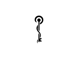 Logo clé du serpent médical