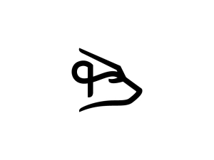Logo de l'ours noir Cool Head