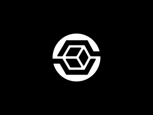 Logotipo Del Cubo Letra S