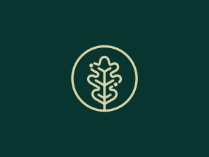 Oak Leaf Letter O Logo Design