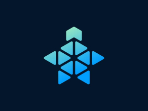 Logotipo De Datos Hexagonales De Tortuga