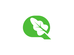 Buchstabe Q Und Eichenlogo