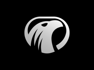 Silberadler-weißkopfseeadler