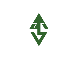 Logo Con Albero Di Pino Con Lettera S