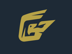 Logo De L'aigle Avec La Lettre G