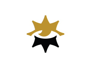 Eye Vision Star Crown Logo