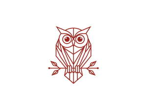 Maskottchen-logo In Form Einer Nachteule