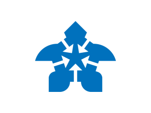 Stern-schildkröte-pfeil-logo