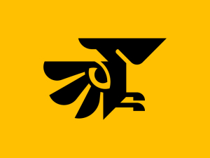Vision Pelican Eye Logo