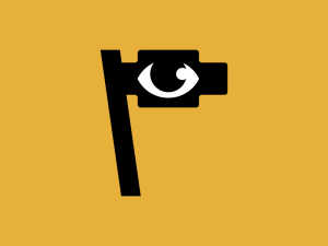Vision Flag Eye Logo