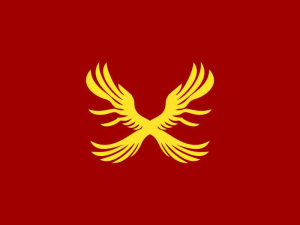 أجنحة الحرف X