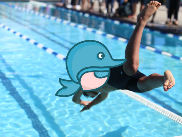 Logotipos de nadadores y delfines Logo