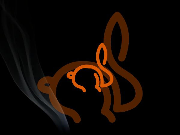 Logo Rabbit Logo
